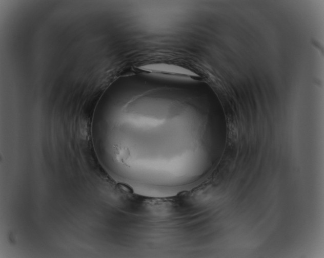 X0000095680331200801221231