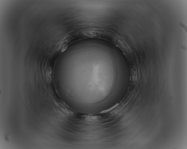 X0000095680332200801221231