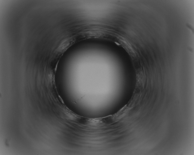 X0000095680333200801221231