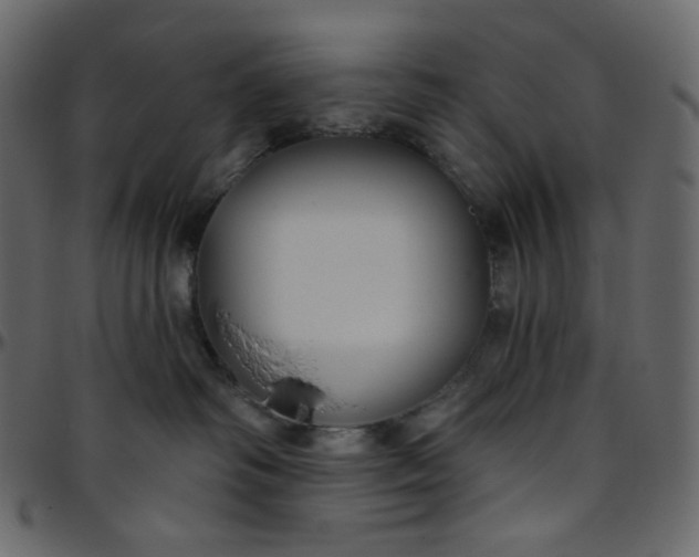 X0000095680334200801221231