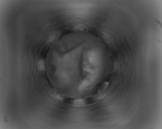 X0000095680335200801221231