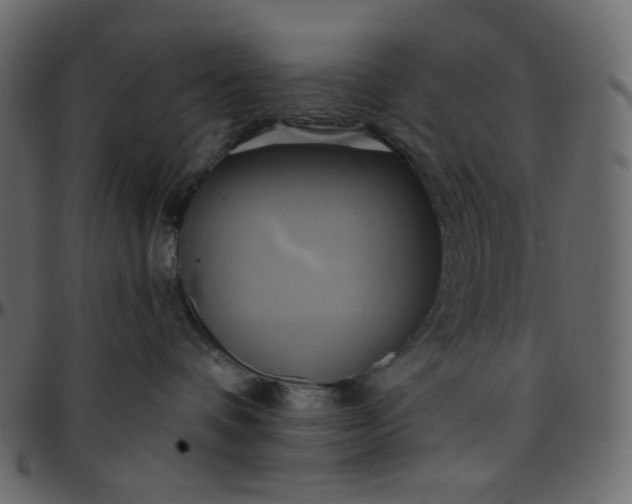 X0000095680336200801221231