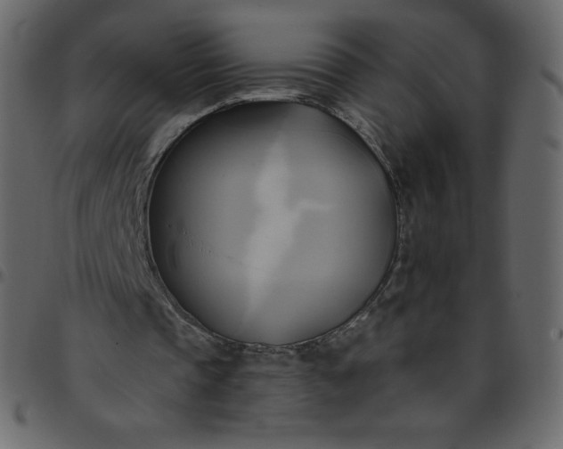 X0000095680337200801221231