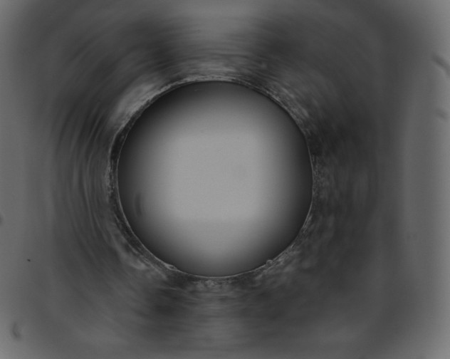 X0000095680338200801221231