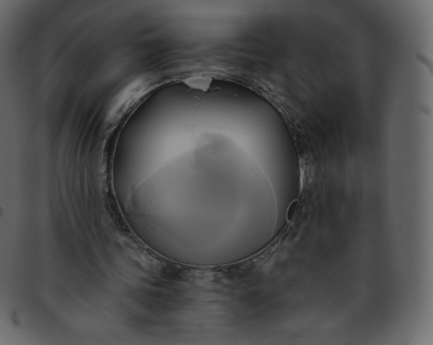 X0000095680339200801221231