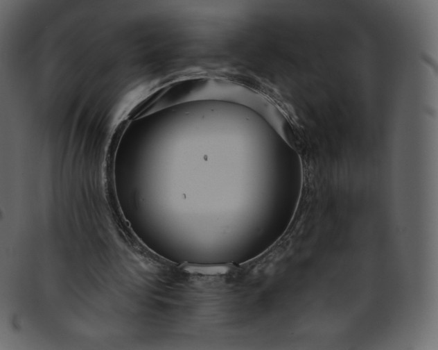 X0000095680340200801221231