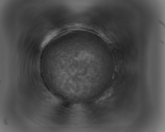 X0000095680341200801221231