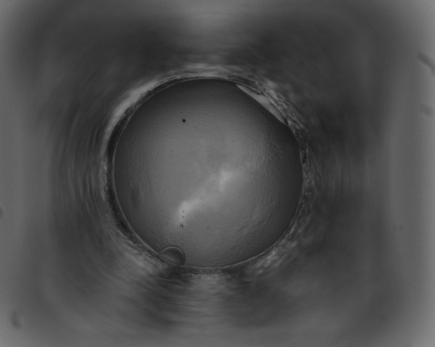 X0000095680342200801221231