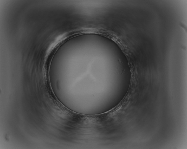 X0000095680343200801221231