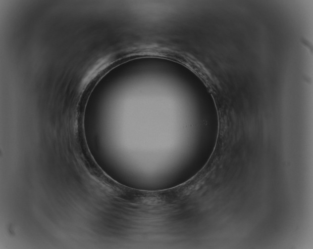 X0000095680344200801221231