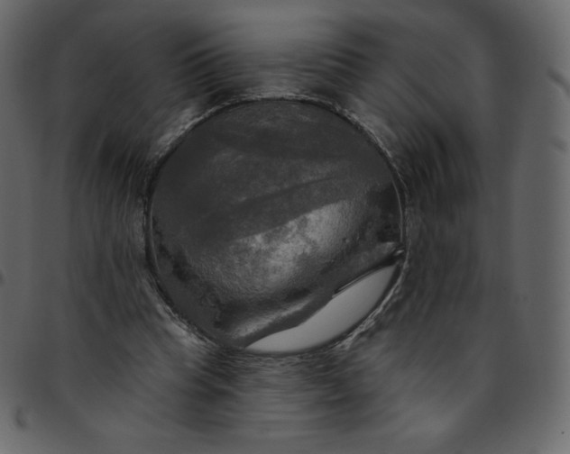 X0000095680345200801221231