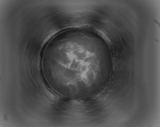 X0000095680346200801221231