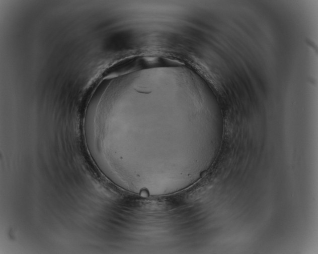 X0000095680347200801221231