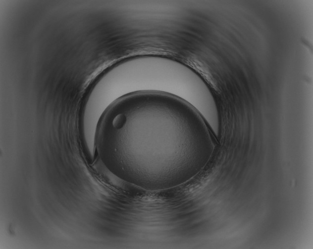 X0000095680348200801221231