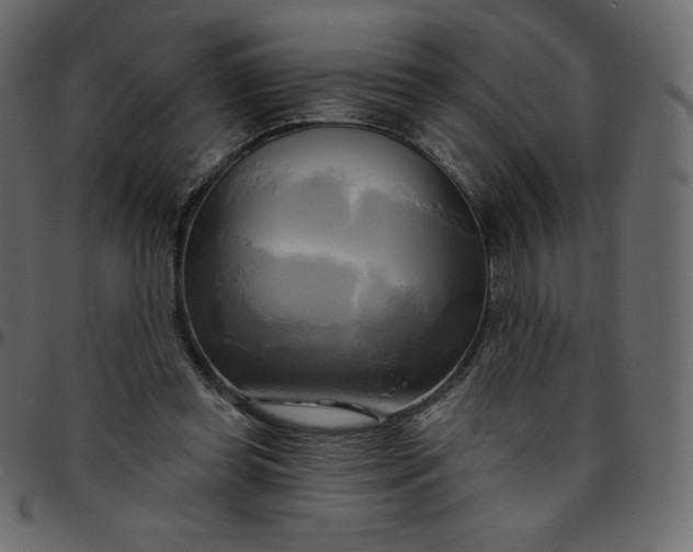 X0000095680349200801221231