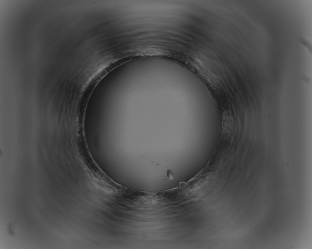 X0000095680351200801221231