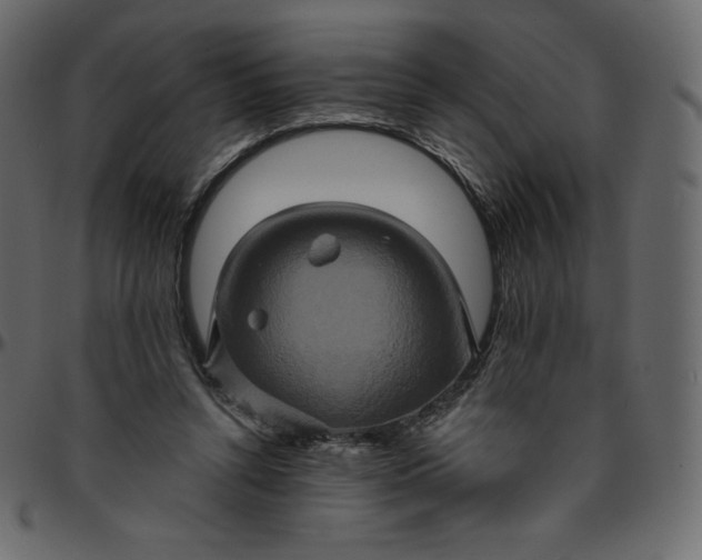 X0000095680352200801221231