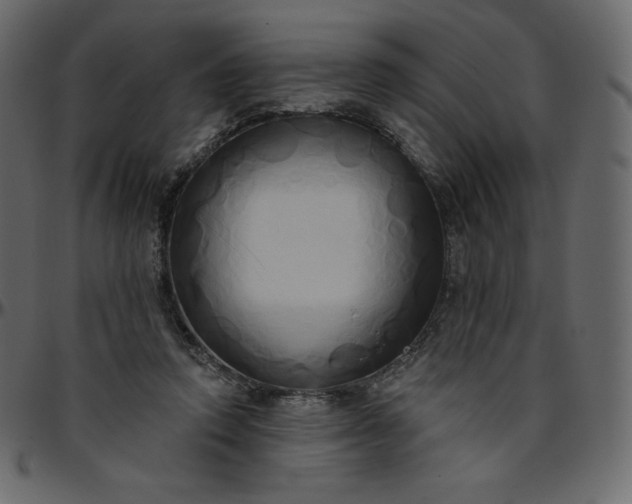 X0000095680354200801221231