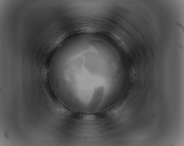 X0000095680355200801221231