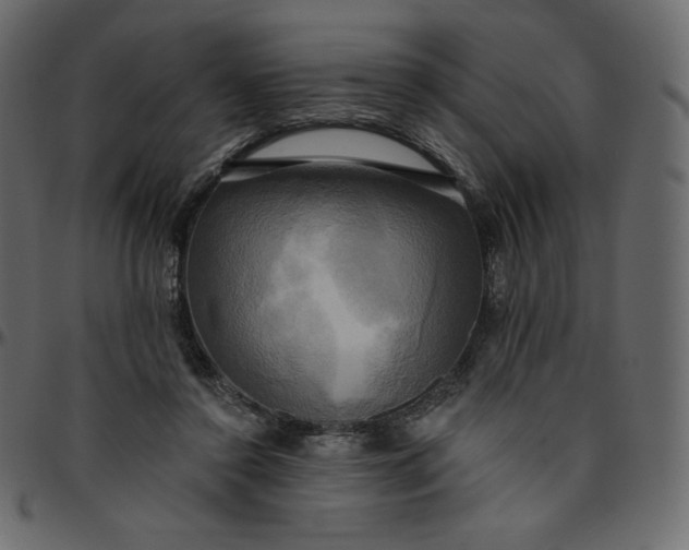 X0000095680356200801221231