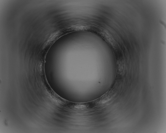 X0000095680357200801221231