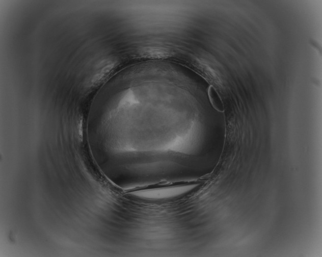 X0000095680358200801221231