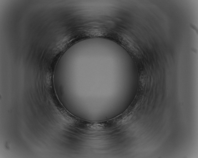 X0000095680359200801221231