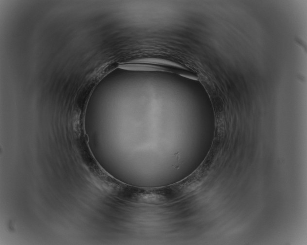 X0000095680360200801221231