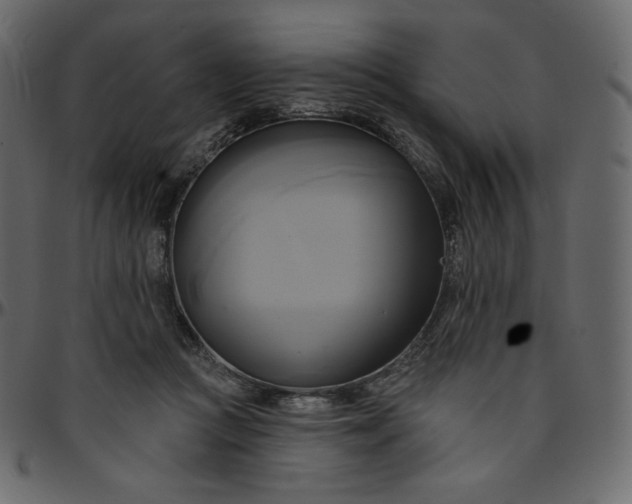 X0000095680361200801221231