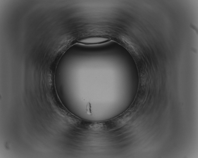 X0000095680362200801221231