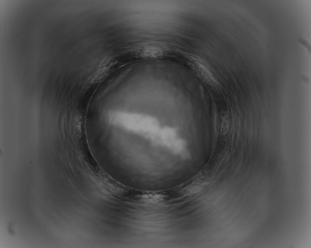 X0000095680363200801221231