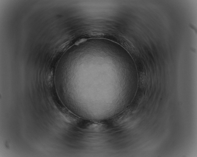 X0000095680364200801221231