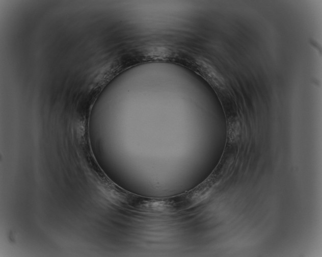 X0000095680365200801221231