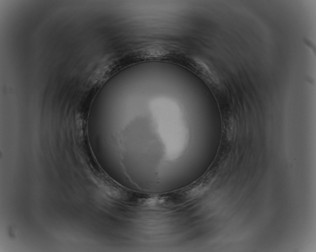 X0000095680366200801221231