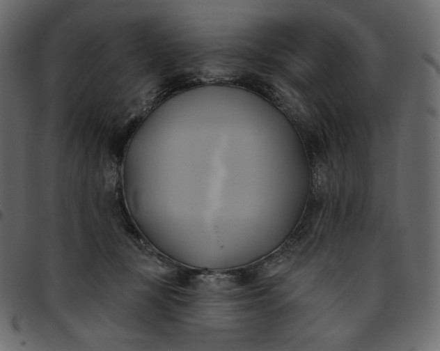 X0000095680367200801221231