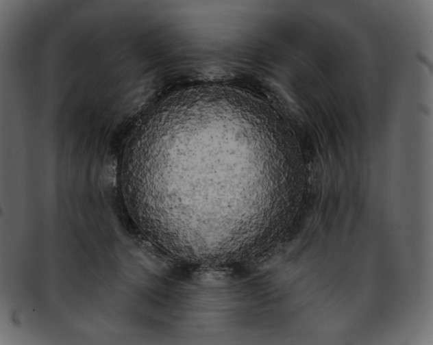 X0000095680368200801221231