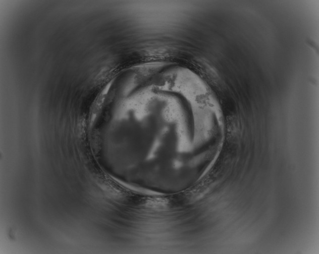 X0000095680369200801221231