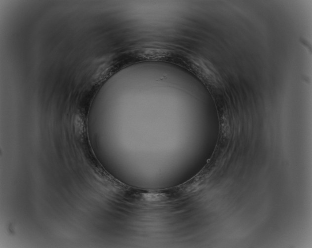 X0000095680371200801221231