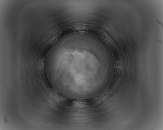 X0000095680372200801221231