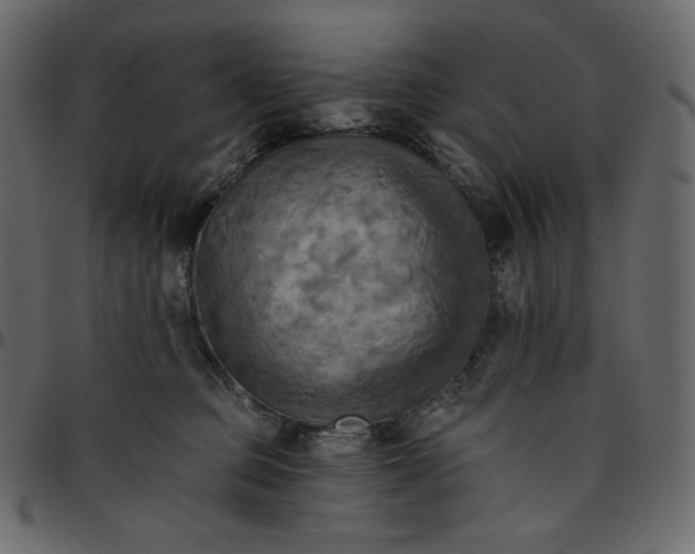 X0000095680373200801221231