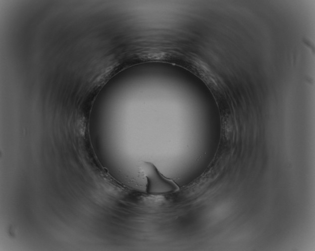 X0000095680374200801221231