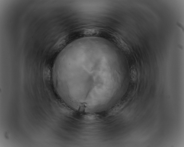 X0000095680375200801221231