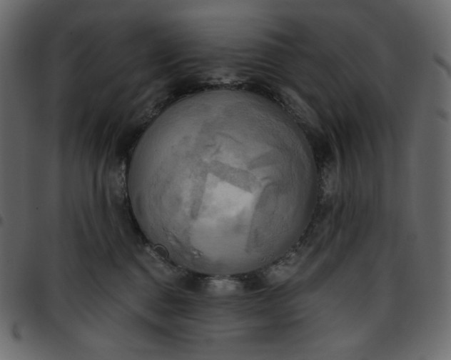 X0000095680376200801221231