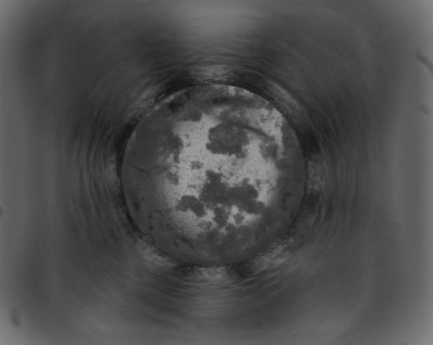 X0000095680377200801221231