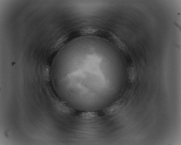 X0000095680378200801221231