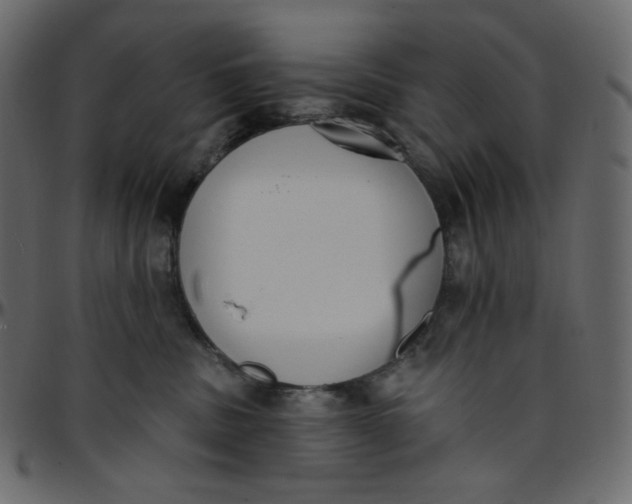 X0000095680379200801221231