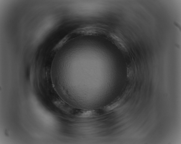 X0000095680382200801221231