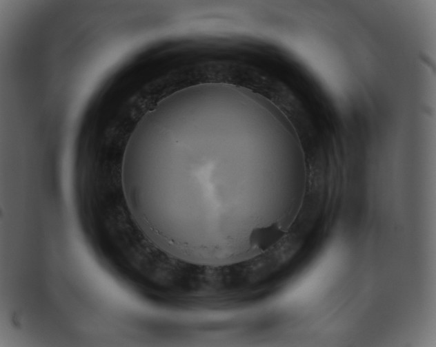 X0000095680383200801221231