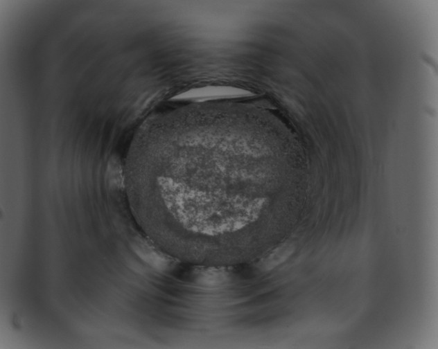 X0000095680384200801221231