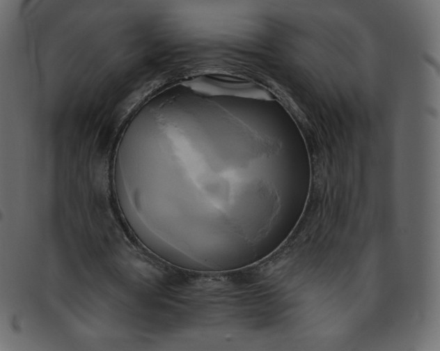 X0000095680386200801221230